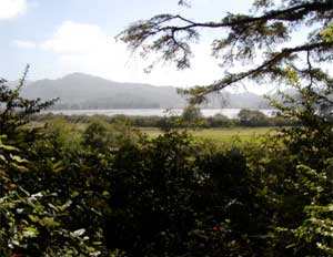 View from Eagle's View Bed and Breakfast 