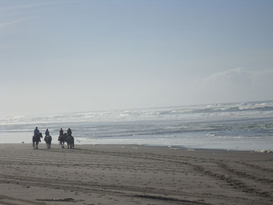 Horseback riding on beach in Pacific City