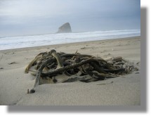 Haystack and seaweed