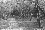Historic Early Pacific City Campground
